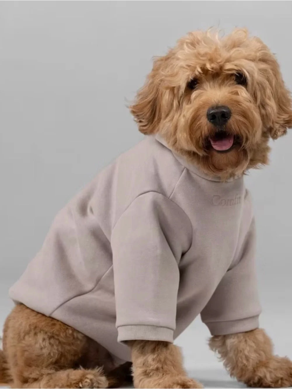 Comfrt Signature Paw Hoodie -L12